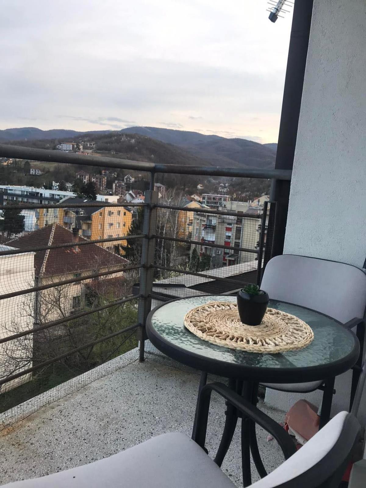 Garmani Leilighet Vrnjačka Banja Rom bilde